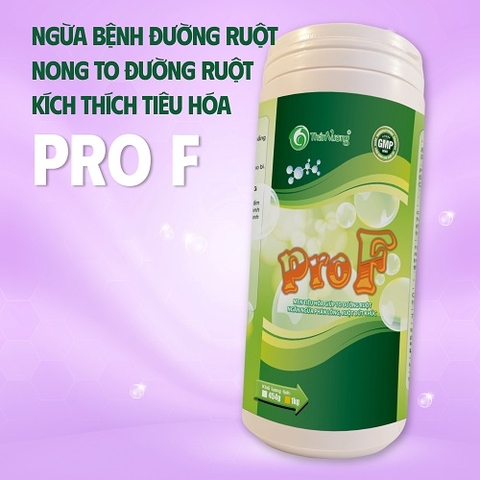 PRO F - Men tiêu hóa giúp to đường ruột, ngăn ngừa phân lỏng, ruột đứt khúc