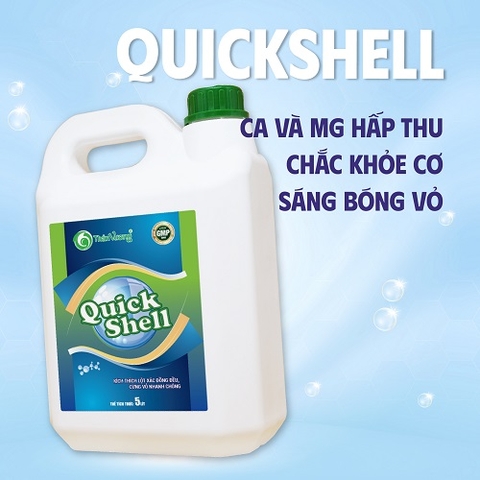 QUICKSHELL - Khoáng sữa vàng bổ sung hàm lượng cao Canxi và Magie