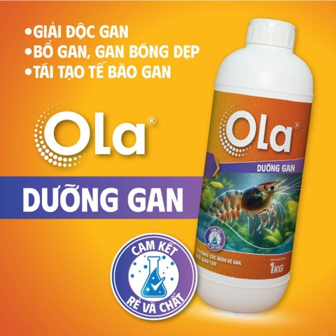 OLA DƯỠNG GAN - Phòng các vấn đề về gan, bổ gan tụy