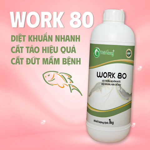 WORK 80 - Sát trùng nguồn nước mạnh, diệt khuẩn, giảm tảo già