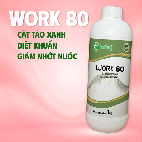 WORK 80 - Sát trùng nguồn nước mạnh, diệt khuẩn, giảm tảo già
