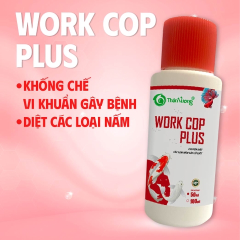 Chuyên diệt các loại nấm gây lở loét trên cá - WORK COP PLUS