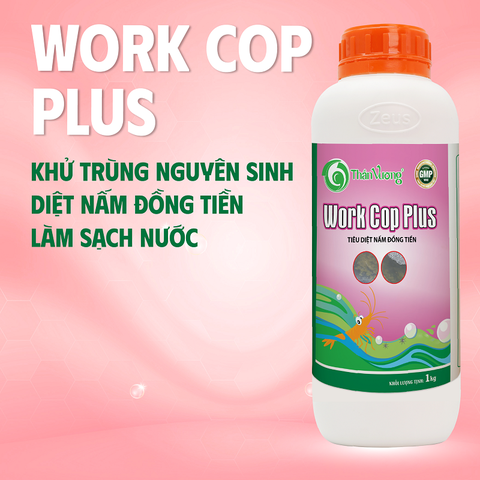 WORK COP PLUS - Tiêu diệt nấm đồng tiền