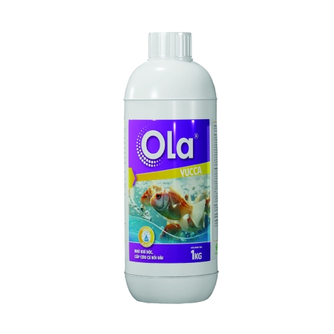 OLA YUCCA: Hấp thụ khí độc, cấp cứu cá nổi đầu