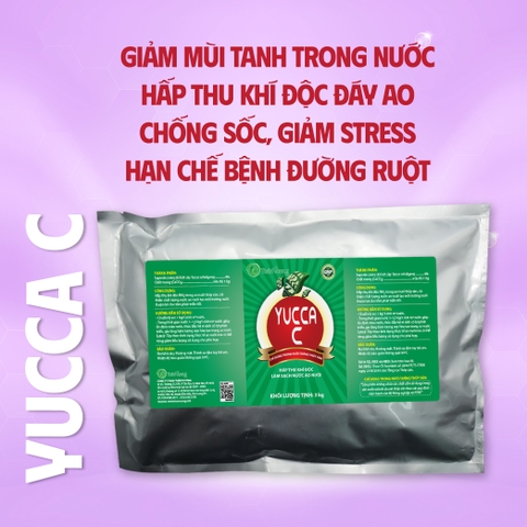 YUCCA C - Giảm mùi tanh trong nước, hấp thụ khí độc