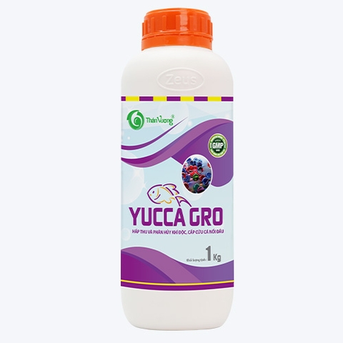 YUCCA GRO - Hấp thụ khí độc, cấp cứu cá nổi đầu