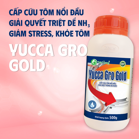 YUCCA GRO GOLD - Cấp cứu tôm nổi đầu, khử độc trong ao nuôi
