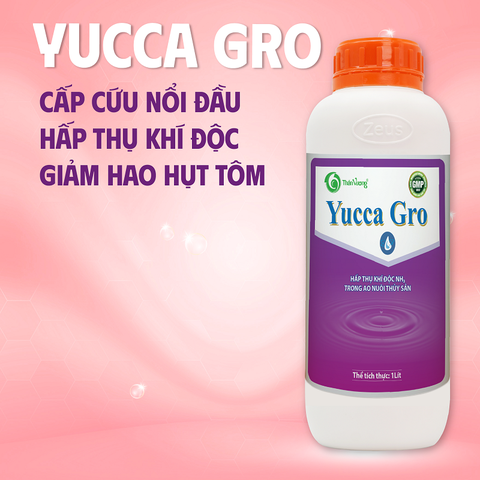 YUCCA GRO - Hấp thụ khí độc NH3 trong ao nuôi thủy sản