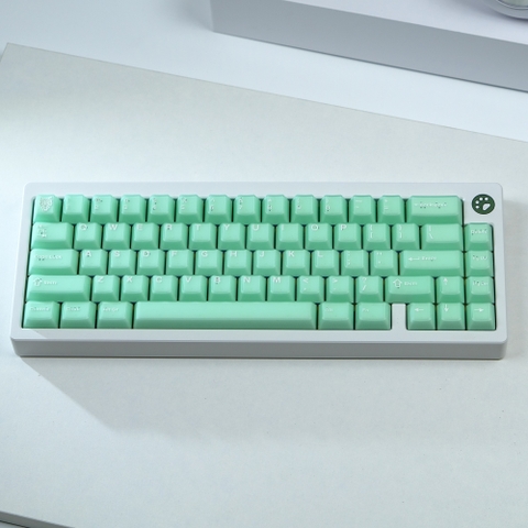 [In-stock] Keycap Cherry Aifei Pyga Jinyu Semi-Transparent ABS Doubleshot