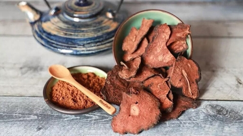 Hà thủ ô có tác dụng gì? Công dụng, cách dùng và một số lưu ý