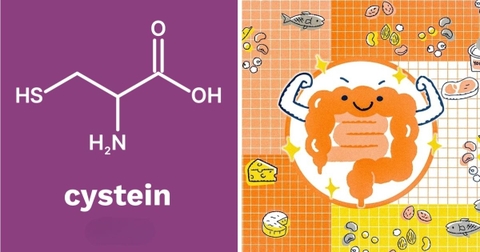 Cysteine Và Sức Khỏe Ruột: Thực Phẩm Tự Nhiên Giàu Cysteine Bạn Nên Bổ Sung Hàng Ngày