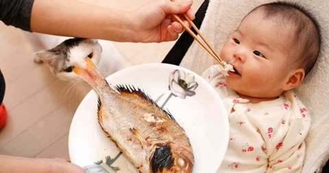 Top những món hải sản giàu canxi hỗ trợ phát triển xương cho trẻ em