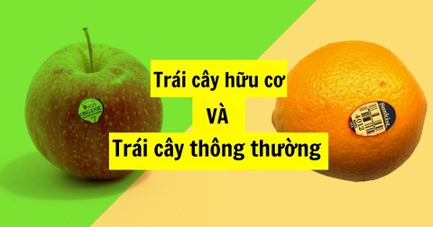 Hướng Dẫn Cách Phân Biệt Trái Cây Hữu Cơ Và Trái Cây Thông Thường