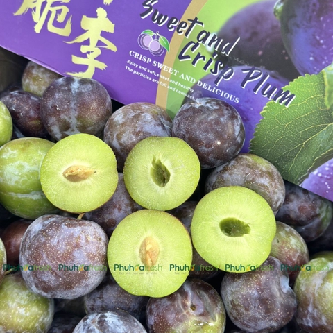 Mận Róc Trung
