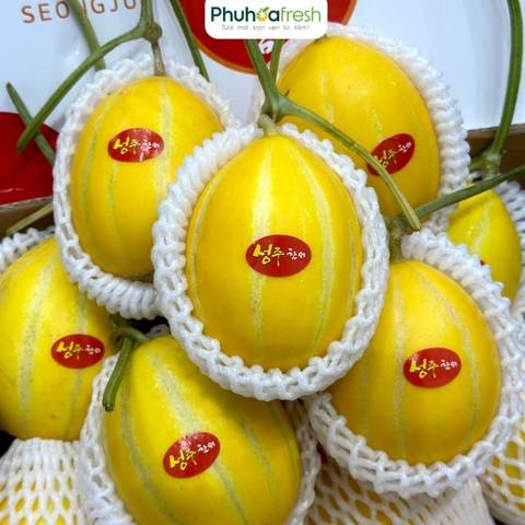 Dưa Lê Giống Hàn