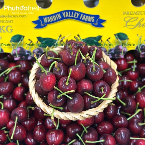 Cherry Đỏ Úc Size 26-28mm