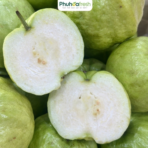 Ổi Nữ Hoàng (Đồng Tháp)