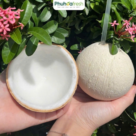 Dừa Trọc Việt Nam