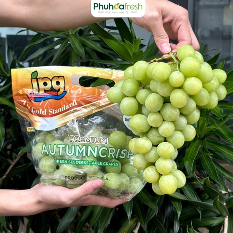 Nho xanh Mỹ VIP