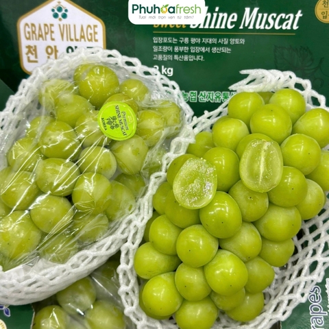 Nho Mẫu đơn Hàn Quốc