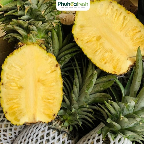 Dứa MD2 Hữu Cơ