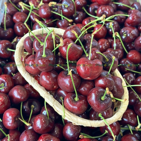 Cherry Canada Size 9.5