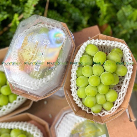 Nho Mẫu Đơn Hàn Quốc SHINE MUSCAT