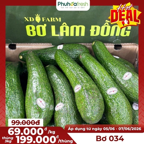 Bơ 034