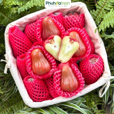 Mận Đỏ An Phước