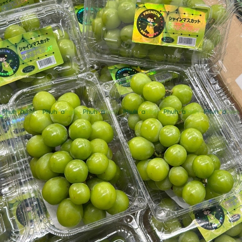 Nho Sữa NĐT