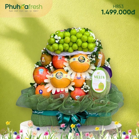 GIỎ TRÁI CÂY H853