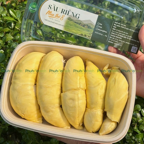 Sầu Riêng Giống Thái