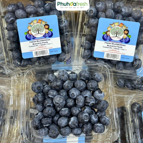 Việt Quất Canada 125g