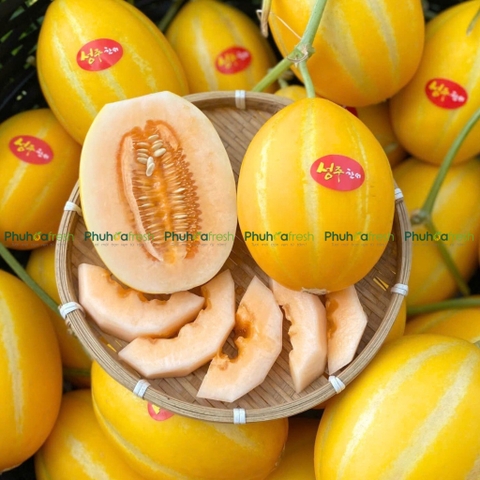 Dưa Lê Giống Hàn