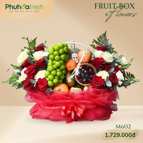 Quà Tặng Trái Cây - M602