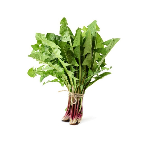 Rau Bồ Công Anh VietGAP