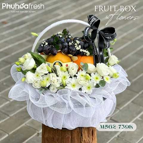 Quà Tặng Trái Cây - M562