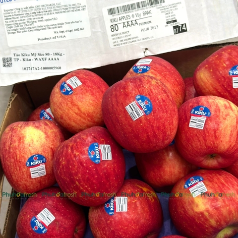 Táo Kiku USA
