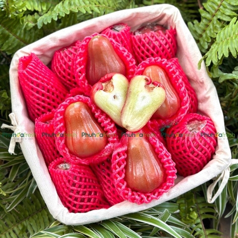 Mận Đỏ An Phước