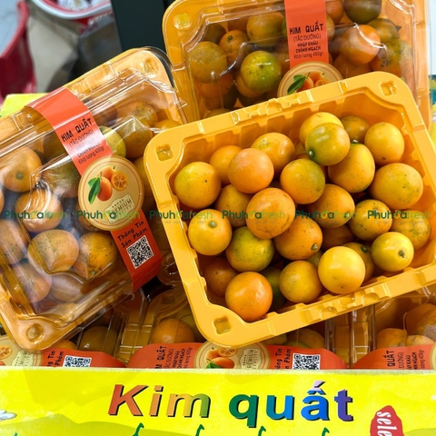 Kim Quất (Đài Loan)