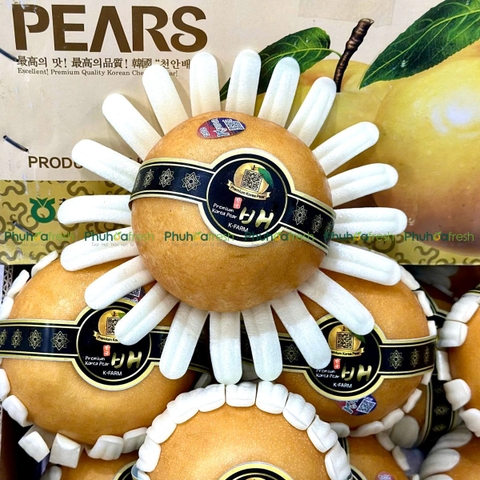 Lê Nâu Hàn Quốc