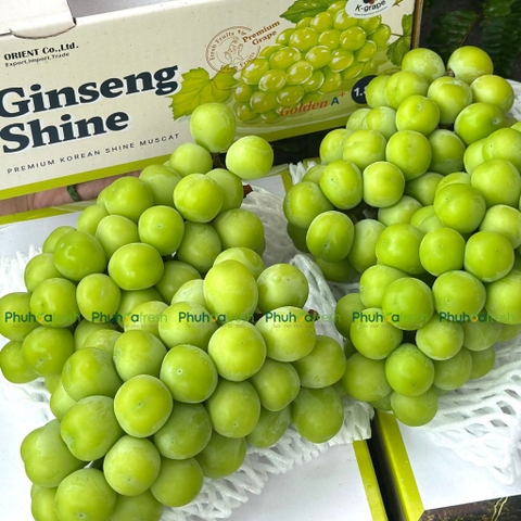 Nho Mẫu Đơn Nhân Sâm Hàn Quốc - GINSENG SHINE MUSCAT