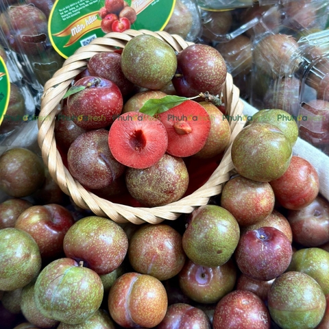 Mận Hậu (Việt Nam)