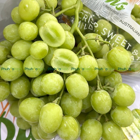 Nho Xanh Úc VIP