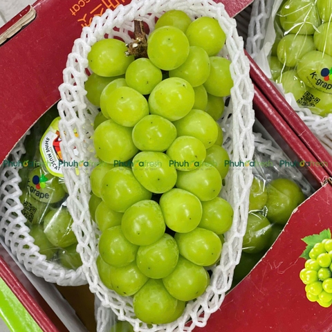 Nho Mẫu đơn Hàn Quốc (~ 900g -1 kg)