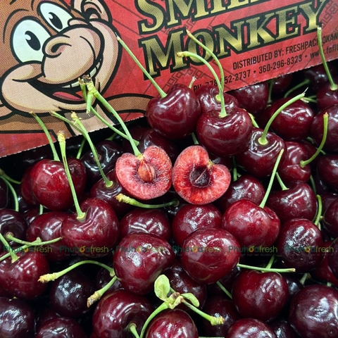 Cherry USA Size 10