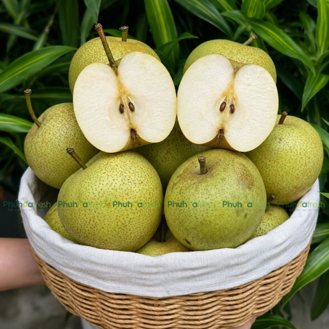 Dưa Tai Nung