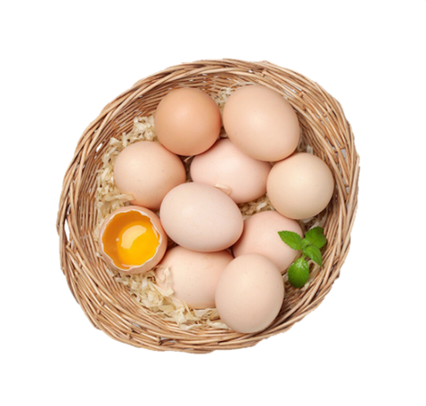 Trứng Gà Hữu Cơ Vỉ 10 Trứng