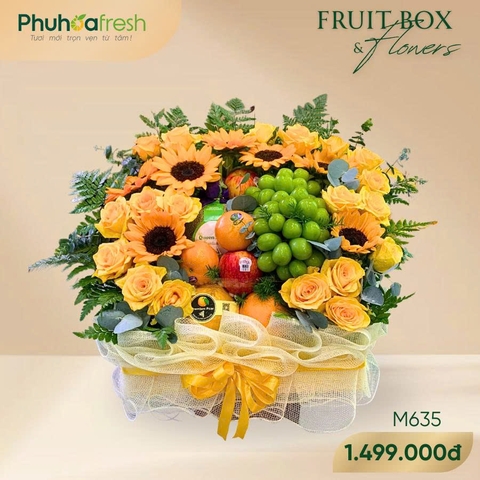 Quà Tặng Trái Cây - M635