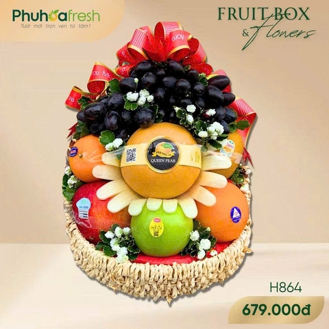 GIỎ TRÁI CÂY H864